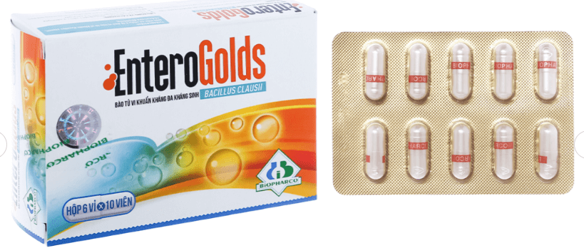 EnteroGolds trị và phòng ngừa rối loạn vi sinh đường ruột (6 vỉ x 10 viên)